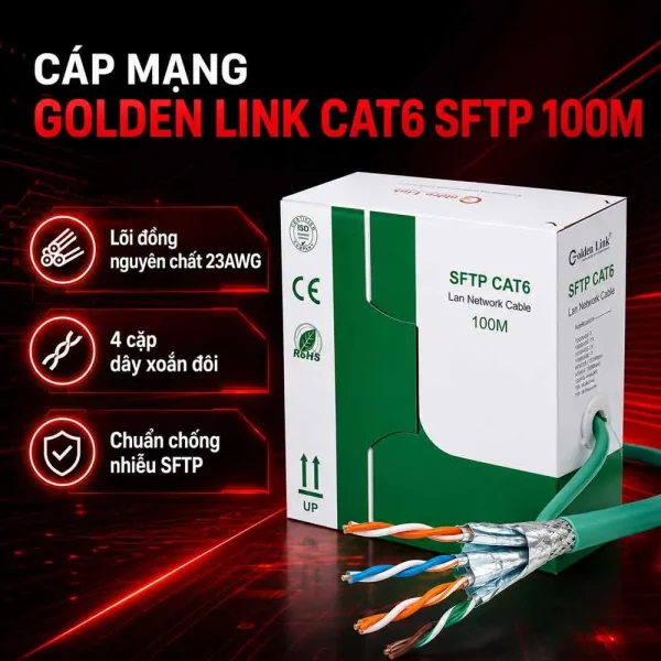 Dây cáp mạng Golden Link Platinum SFTP Cat6 TAIWAN TW1104-100