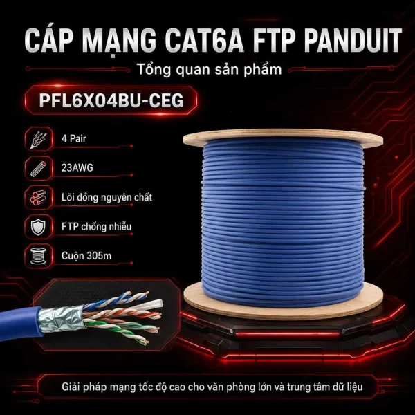 Dây cáp mạng Cat6A FTP PANDUIT PFL6X04BU-CEG