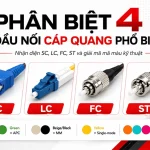 phân biệt các đầu nối quang phổ biến