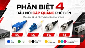 phân biệt các đầu nối quang phổ biến