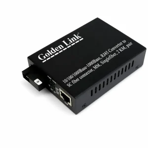 Bộ chuyển đổi quang điện Multi Mode 1FO GoldenLink