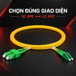 chọn đúng dây nhảy sc lc apc