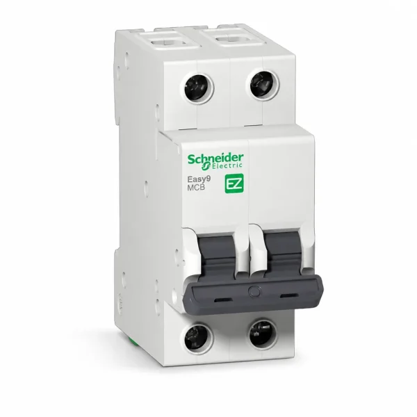 EZ9F cầu giao điện Schneider 2P 4.5kA