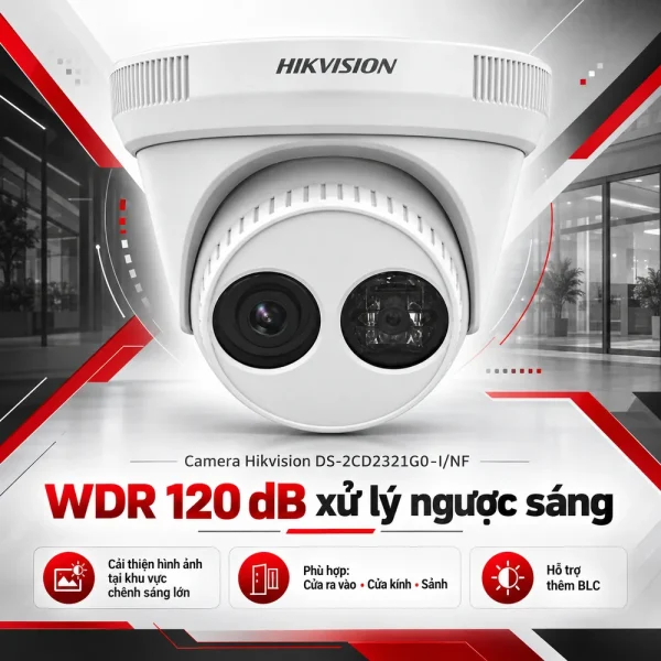 Camera Hikvision 2MP WDR DS-2CD2321G0-I/NF