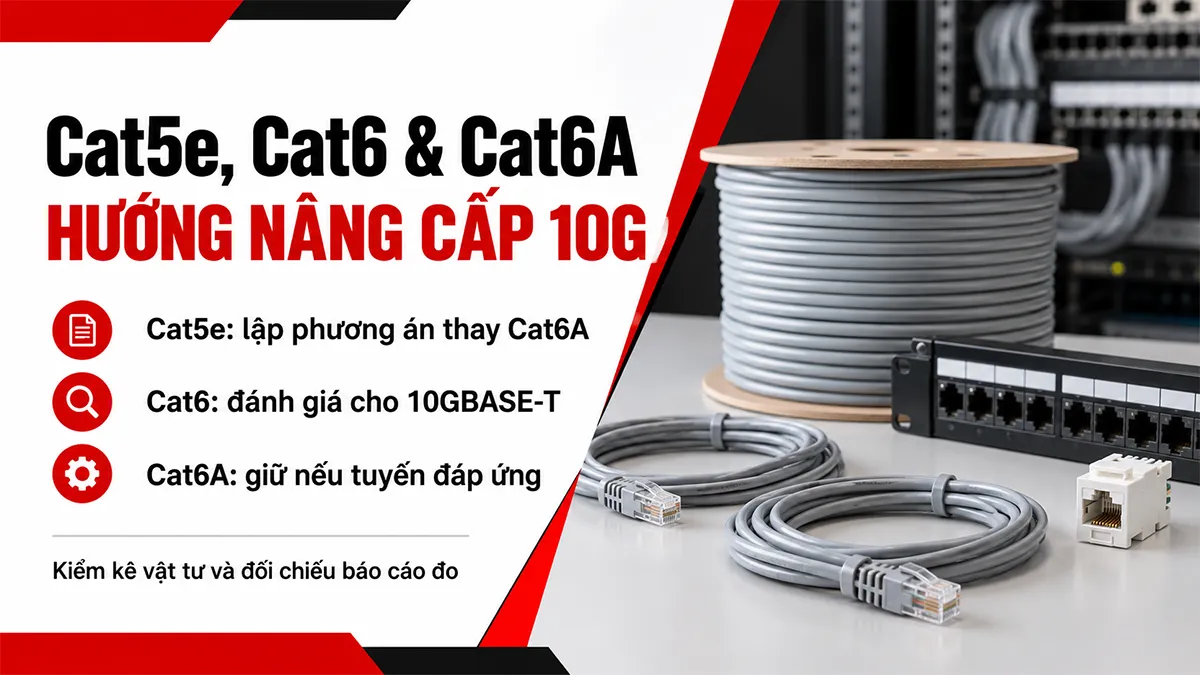 cat5 cat6 cat6a hướng nâng cấp 10g