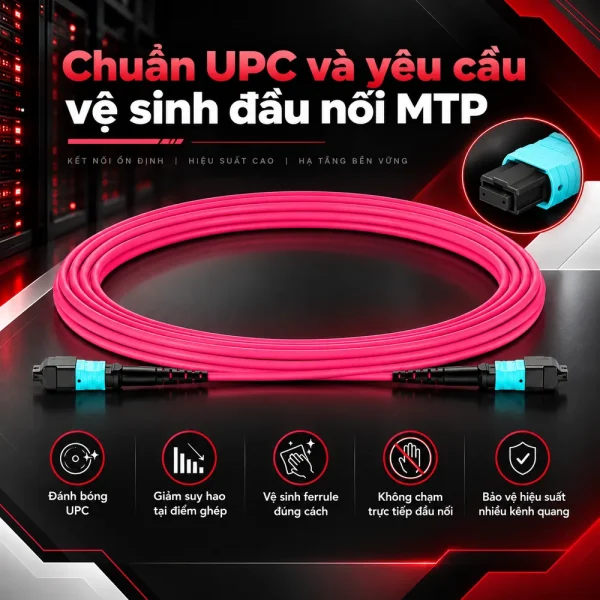 Dây nhảy quang OM4 MTP-MTP 12 sợi đầu Female