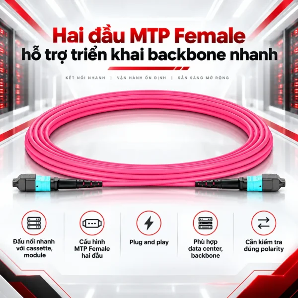 Dây nhảy quang OM4 MTP-MTP 12 sợi đầu Female
