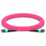 Dây nhảy quang OM4 MTP-MTP 12 sợi đầu Female