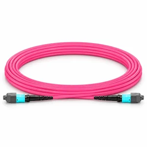 Dây nhảy quang OM4 MTP-MTP 12 sợi đầu Female