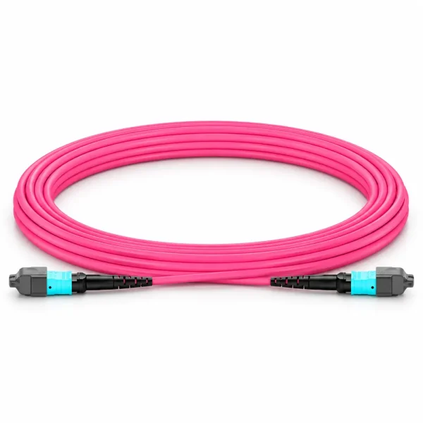 Dây nhảy quang OM4 MTP-MTP 12 sợi đầu Female