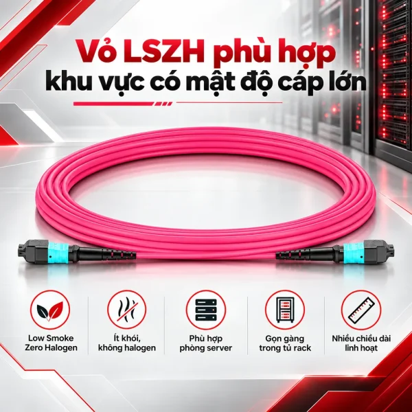 Dây nhảy quang OM4 MTP-MTP 12 sợi đầu Female