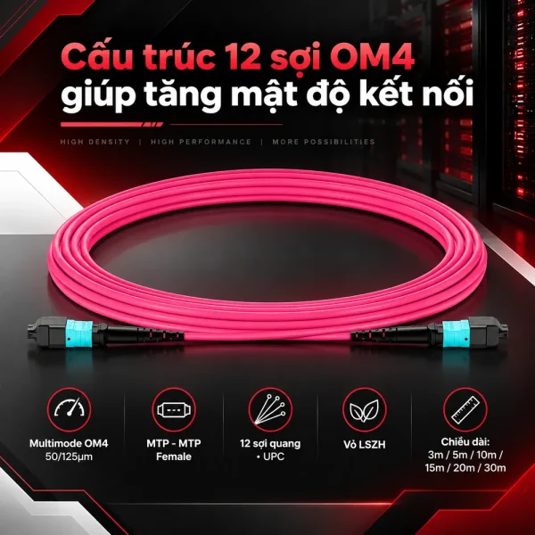 Dây nhảy quang OM4 MTP-MTP 12 sợi đầu Female